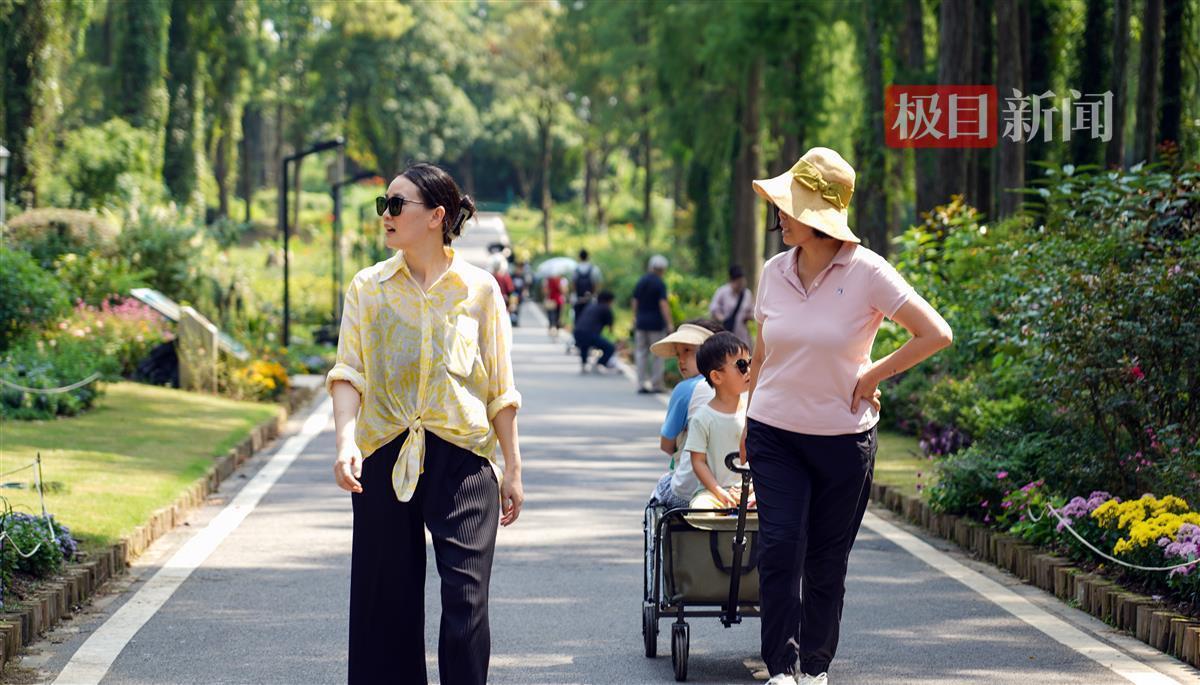 无需存款注册即送试玩金